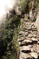 Inca trail - 58710352
