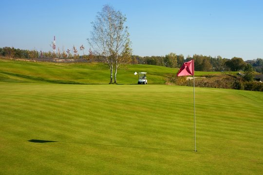 Green of golf course with golf-cart car