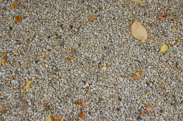 Sandstone background