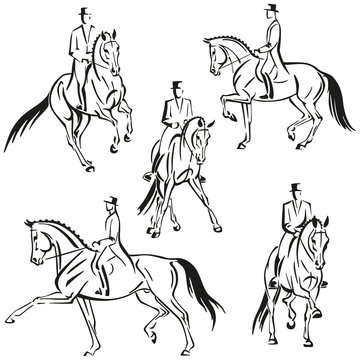 dressage