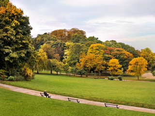 Path in the autumn park. Autumn Landscape.