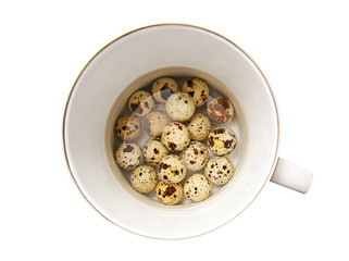 Quail eggs