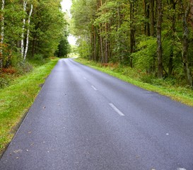 Fototapeta premium Landscape in Poland asphalt road in forest early autumn