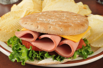 Baloney sandwich