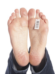 dead feet with barcode in a morgue