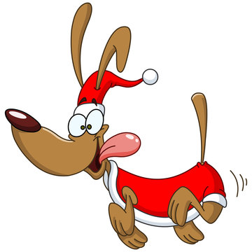 Running dog with santa clothes