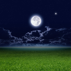 Fototapeta na wymiar Księżyc w pełni, zielone pole