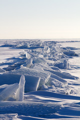 sea ice close up in the winter