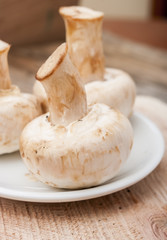 mushrooms on wooden background
