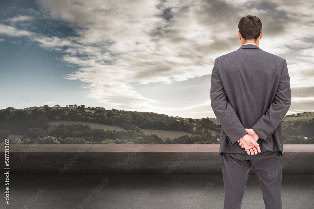 Poster Composite image of rear view of classy businessman posing