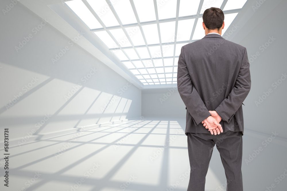 Poster composite image of rear view of classy businessman posing