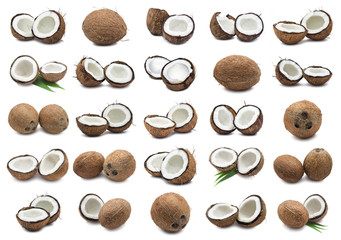 Coconuts