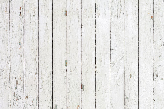 Vintage  white background of natural wood old wall