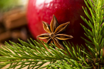Weihnachtsapfel mit Anisstern