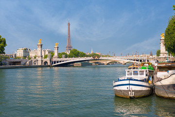View of Sena in Paris