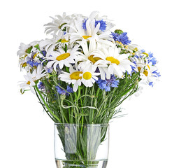 beautiful bouquet of daisies in vase