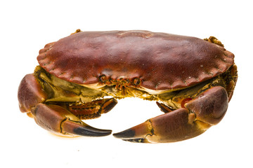 Raw crab
