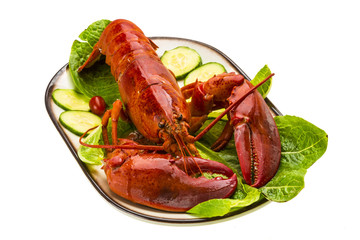 Large Lobster