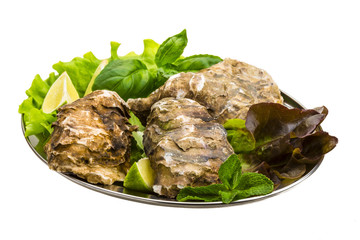 Fresh oyster