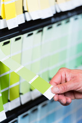 farbkarten in grüntönen