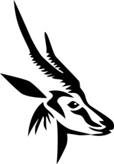 head of horned antelope