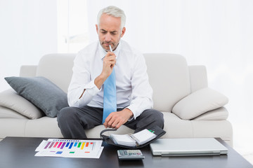 Businessman with graphs and diary sitting in living room