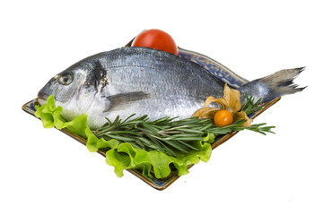 Raw dorado with herbs