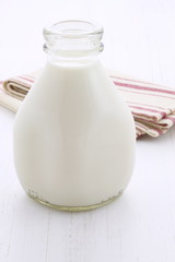Fresh organic  milk pint