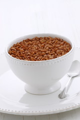 Delicious crisped rice chocolate cereal