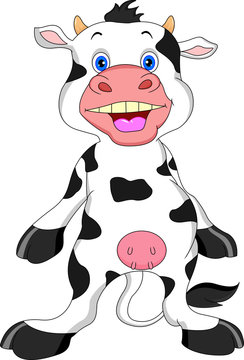 funny cow cartoon