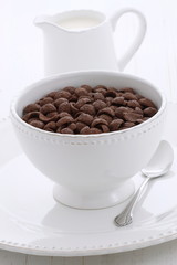 Delicious cocoa cereal
