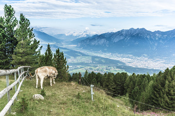 Patscherkofel peak near Innsbruck, Tyrol, Austria.