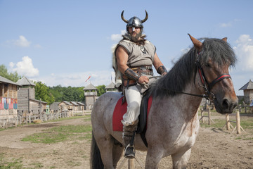 Obraz premium The Viking is take care of his territory