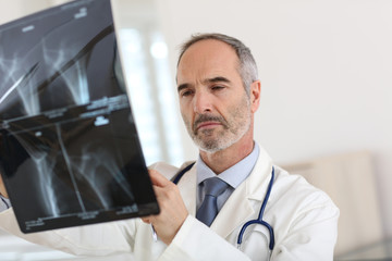 Specialist looking at X-ray results