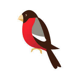 bullfinch sits winter illustration