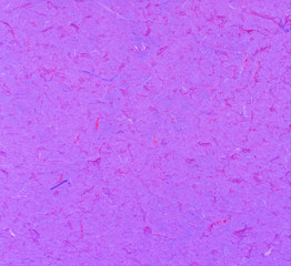 Purple paper