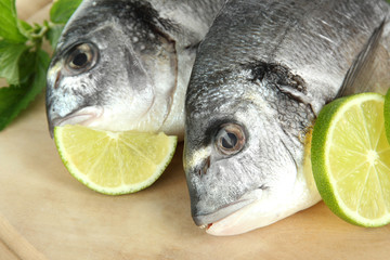 Dorado fish close-up