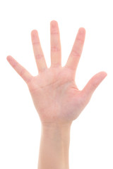 isolated female hand showing the number five