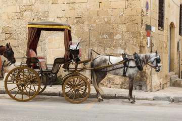 Fototapeta na wymiar horse-drawn carriage in the streets of Valletta