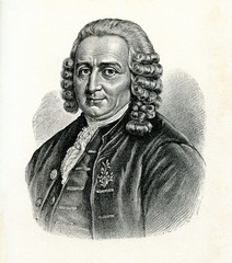 Carl Linnaeus, Swedish botanist, physician, and zoologist