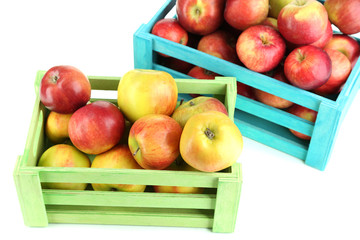 Juicy apples in wooden boxes isolated on white