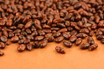 Sunflower grains in chocolate, on brown background