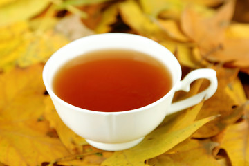 Cup of hot beverage, on yellow leaves background