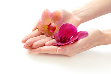 Obraz na płótnie Canvas Hand with beautiful orchid flowers isolated on white