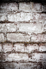 brick white dirty wall background