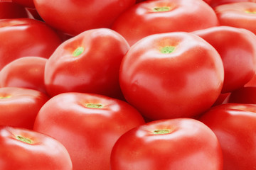 red tomatoes