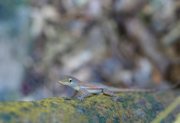 Naklejka premium Hello Hello