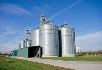 Big silos on large modern cow farm