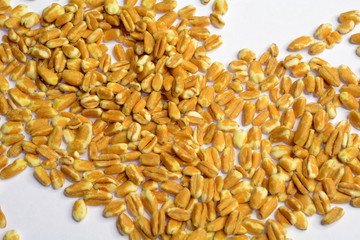 Kerniger Dinkel