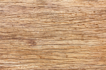 Wood texture